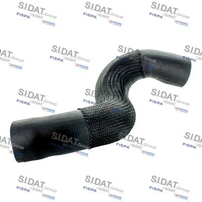 500596 Sidat