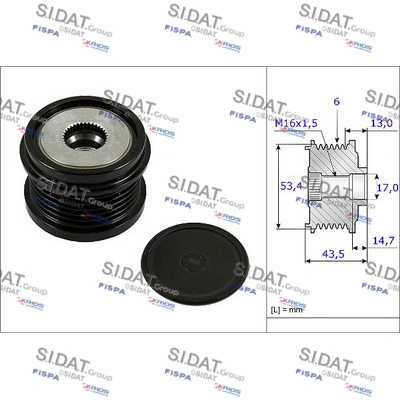 Polea rueda libre Ford Focus III desde 50,99 €