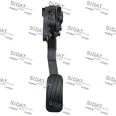 842206 Sidat