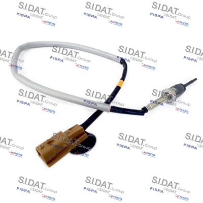 82207 Sidat