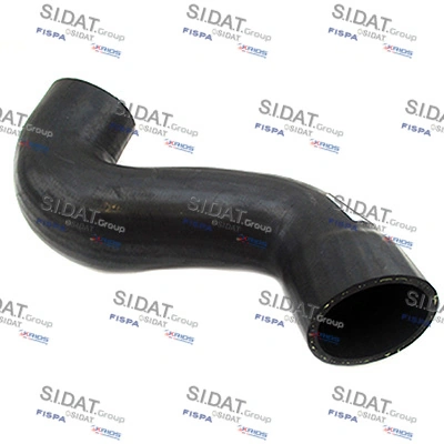 500081 Sidat