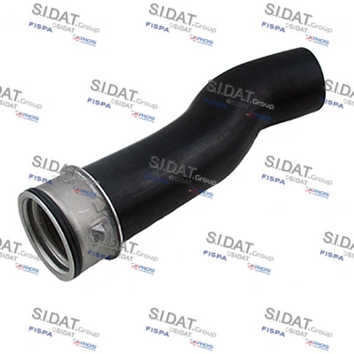 500465 Sidat