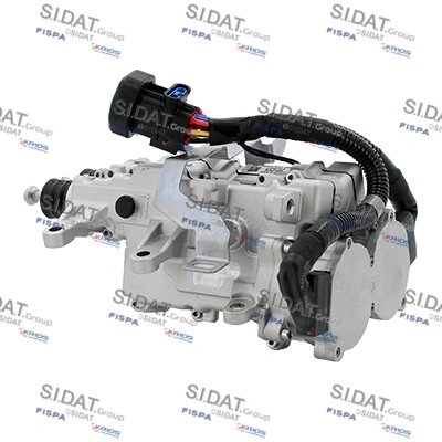 BD010006 Sidat