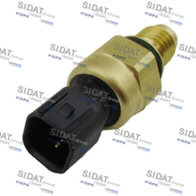 82051 Sidat