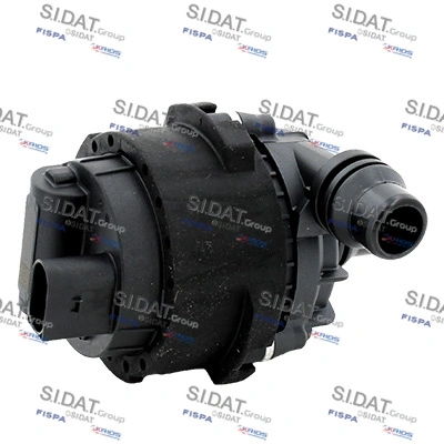 55031 Sidat