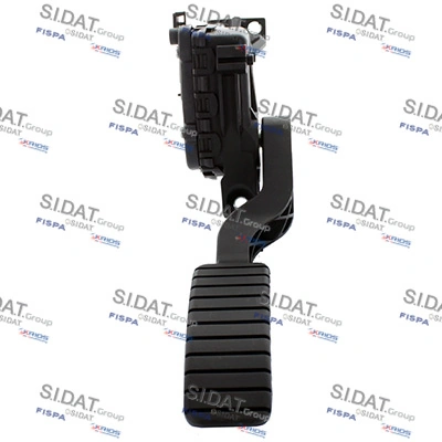 842079 Sidat
