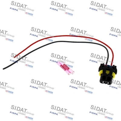 405519 Sidat