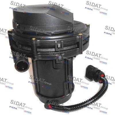 81348 Sidat