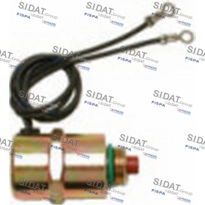 81009 Sidat