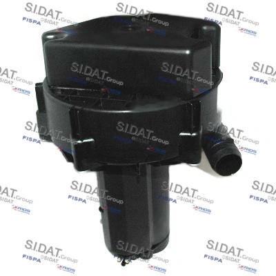 81317 Sidat