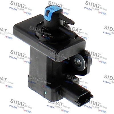 831194 Sidat
