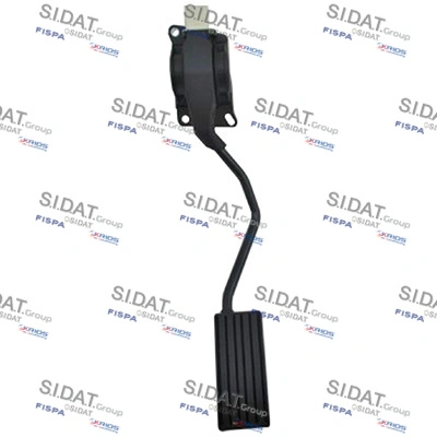 842179 Sidat