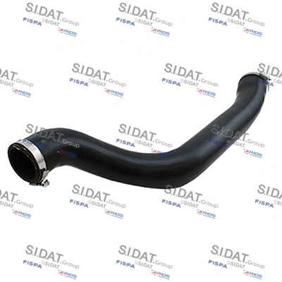 500631 Sidat