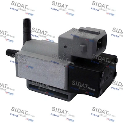 81301 Sidat