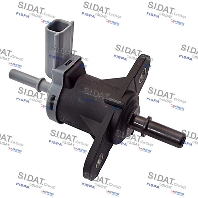 81296 Sidat