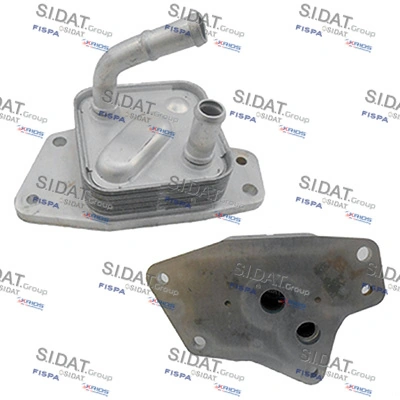 590238 Sidat