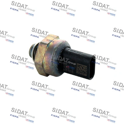 843156 Sidat