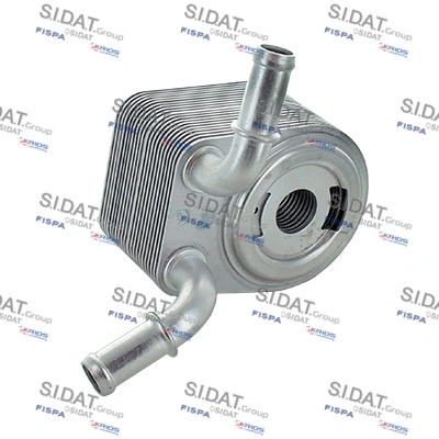 590313 Sidat