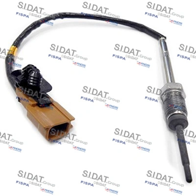82209 Sidat
