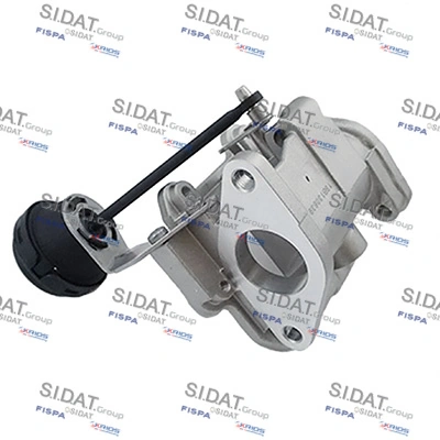 831547 Sidat