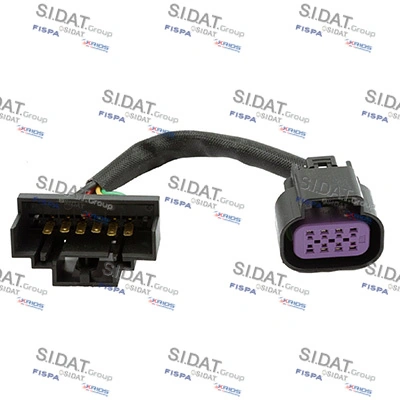 405006 Sidat