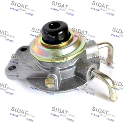 81008 Sidat