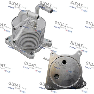 590239 Sidat