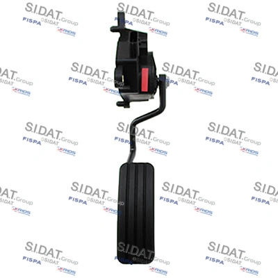 842129 Sidat