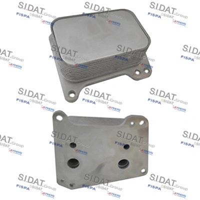 590196 Sidat