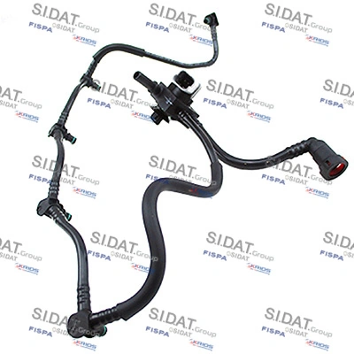 831759 Sidat