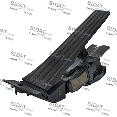 842072 Sidat