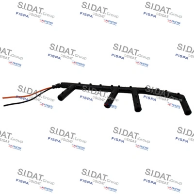 405510 Sidat