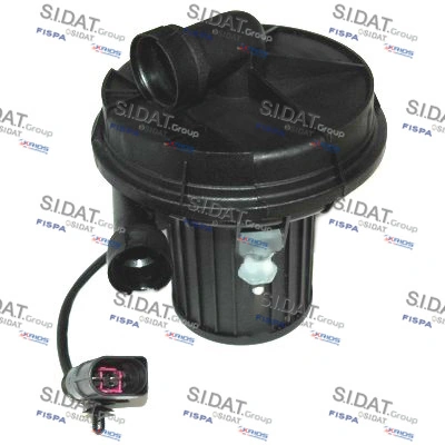 81313 Sidat