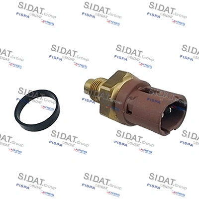 Sensor de temperatura del motor Renault 21  (S48)