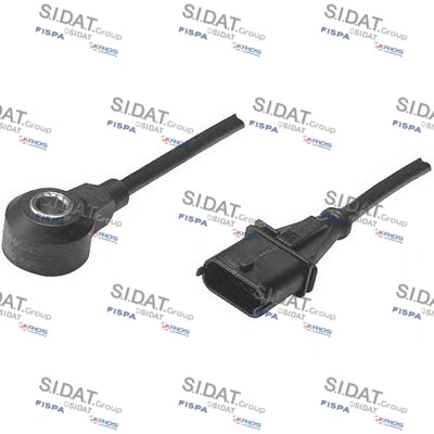 84031 Sidat