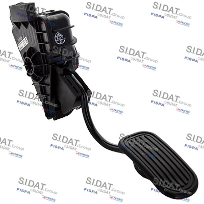 842055 Sidat