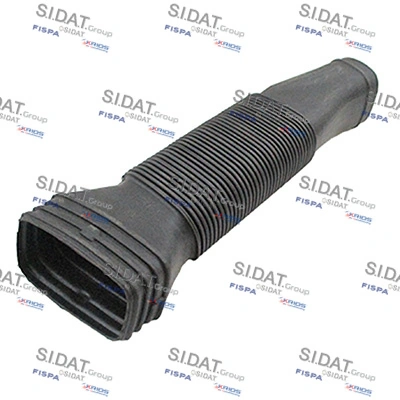 500599 Sidat