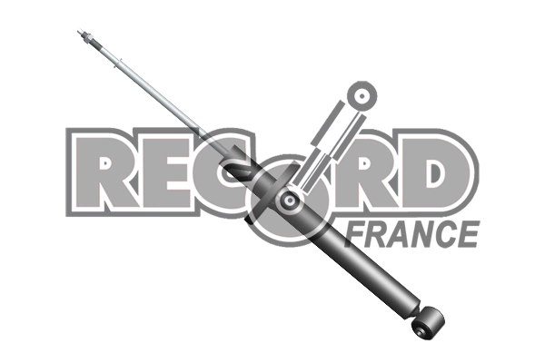 333841 Record