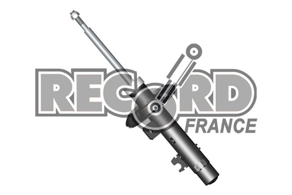 334801 Record