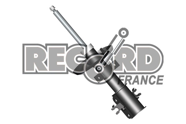 334649 Record