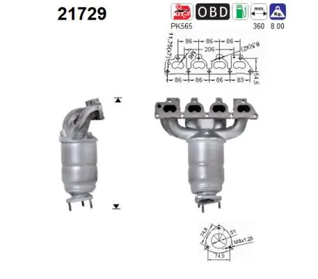 21729 AS/Auto Storm