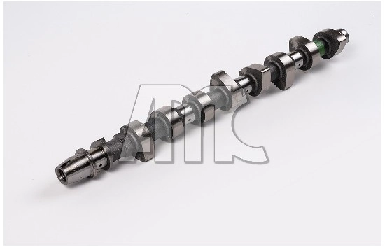 641881 AMC Kit árbol de levas