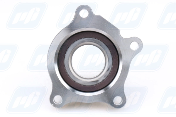 Cubo de rueda trasero izquierdo PFI PHU57634 precio, desde 56,61 EUR