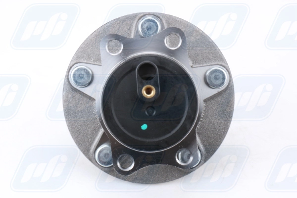 PHU57417K PFI Buje de rueda trasero