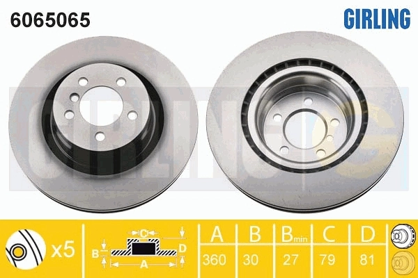 6065065 Girling