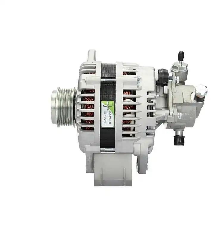 135603100080 PSH Alternador de coche