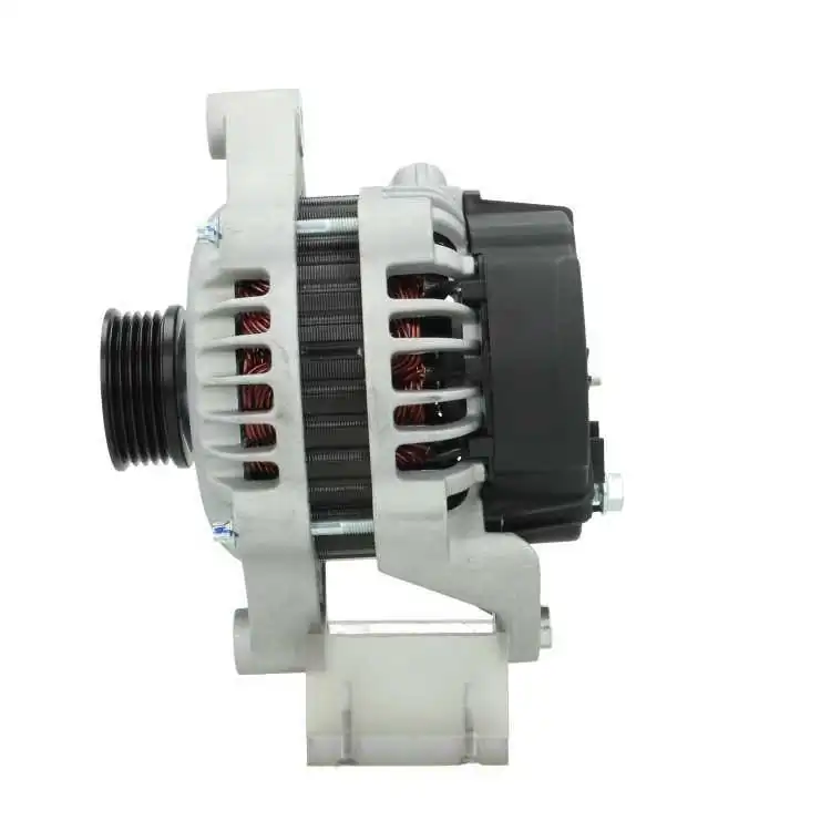 135519100030 PSH Alternador de coche