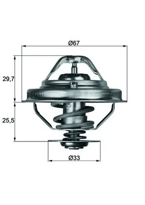 TX3880D Mahle Original