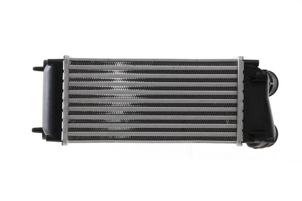 Enfriador de aire de admisión para Peugeot 307  (3H)