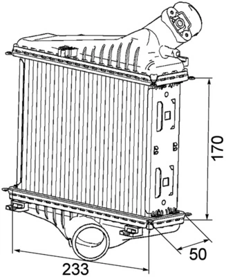 CI163000P Mahle Original